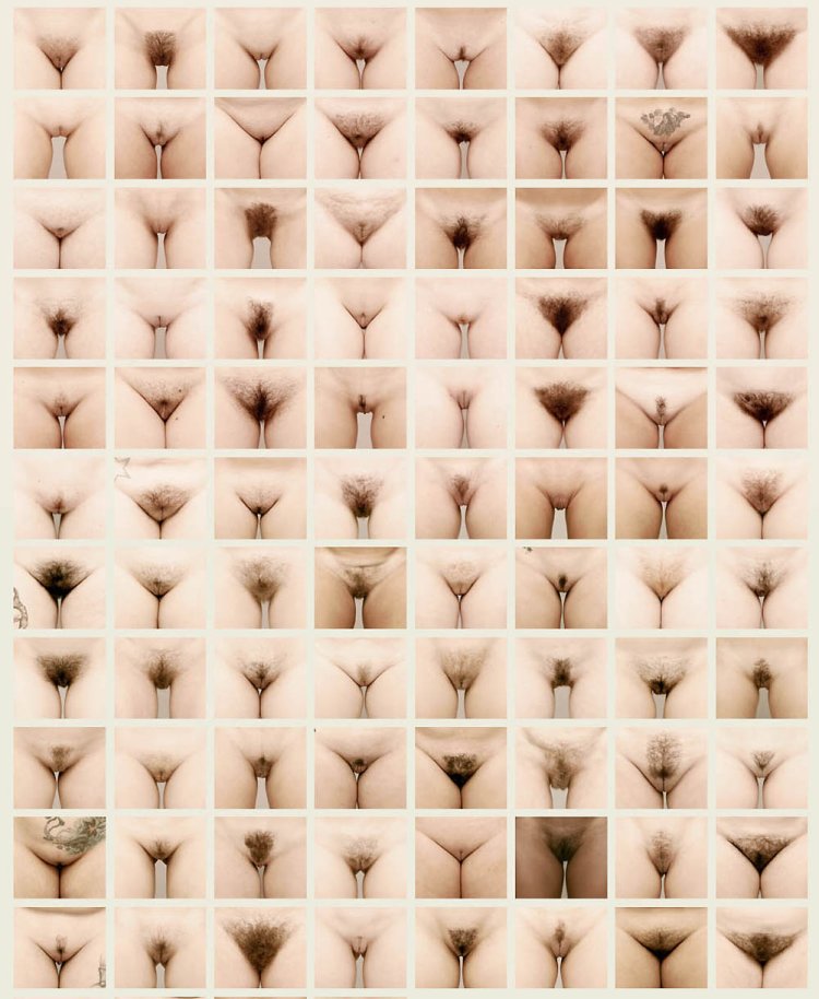 Women's pussies of different forms