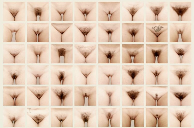 Different forms of female genitals